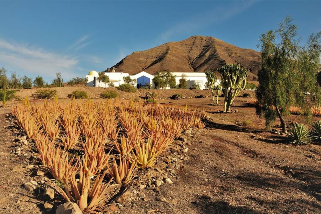 Romantica Fuego - Eco Retreat Finca Artis Tirma Tarajalejo Exteriör bild